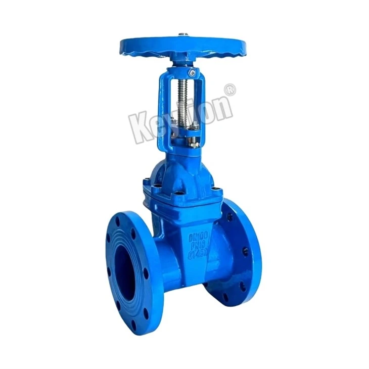 Cast Iron Flanged Gate Valve 